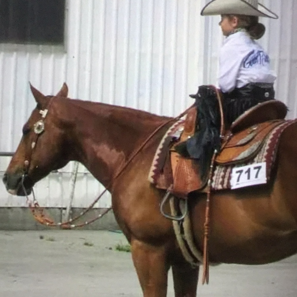 Vintage western Rommel romal reins western riding reining horsemanship AQHA ARAB - Picture 3 of 14